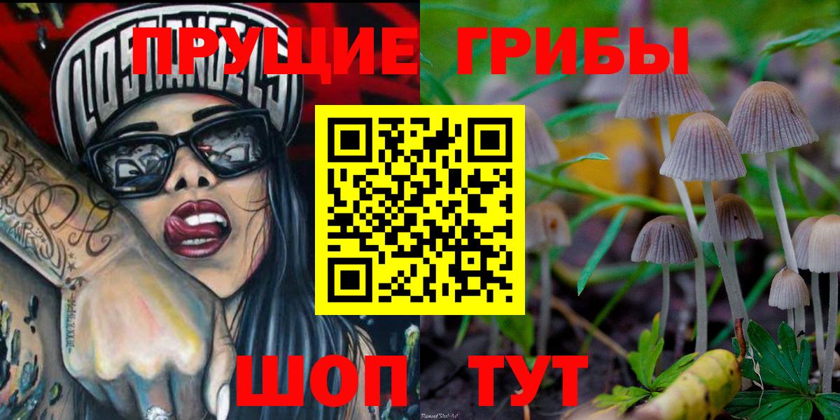 Псилоцибиновые грибы Psilocybe  Вход с VPN  Санкт-Петербург  Псилоцибиновые грибы мухоморы 