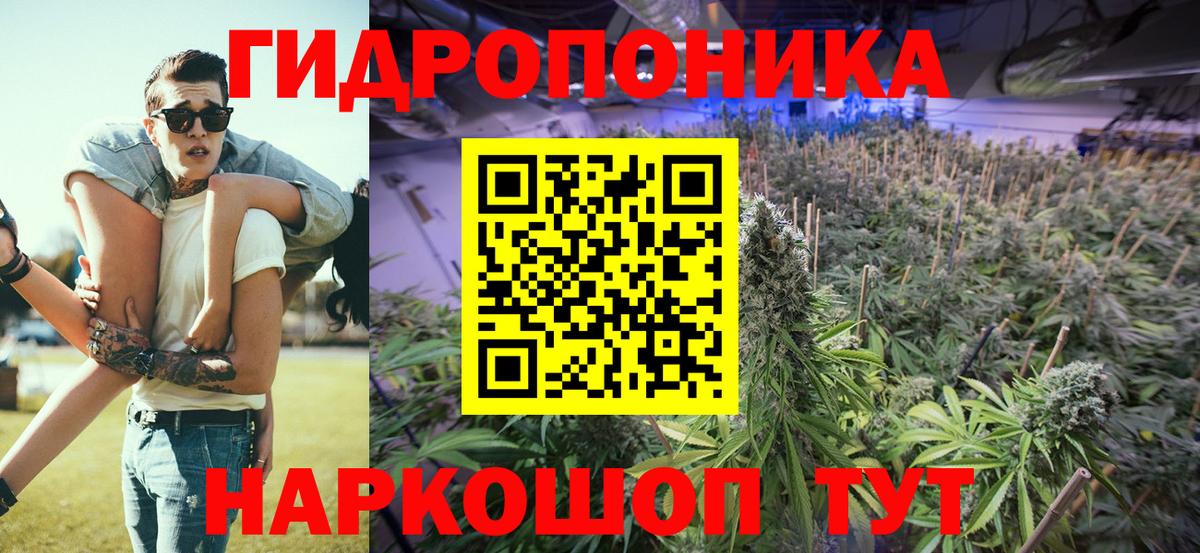 Санкт-Петербург  Канабис AK-47  Бошки марихуана планчик  Вход с VPN 